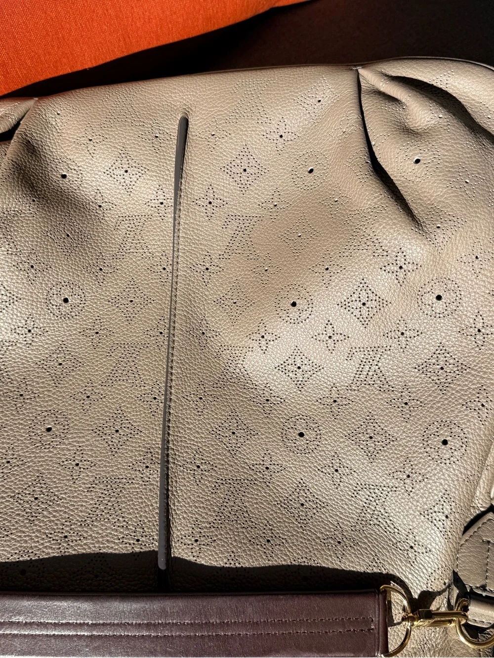 Louis Vuitton luxury bottega